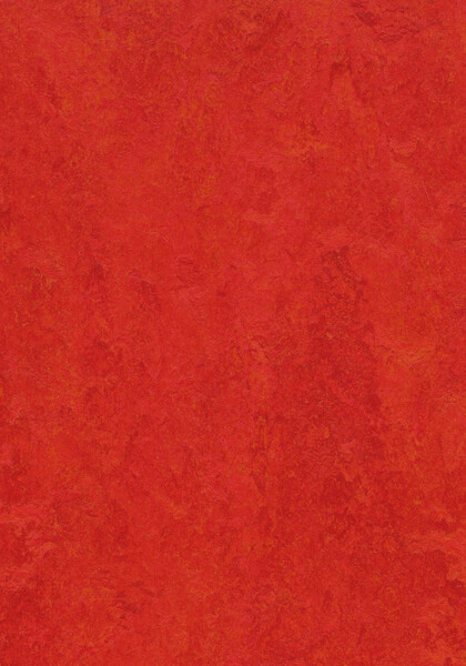 scarlet.jpeg