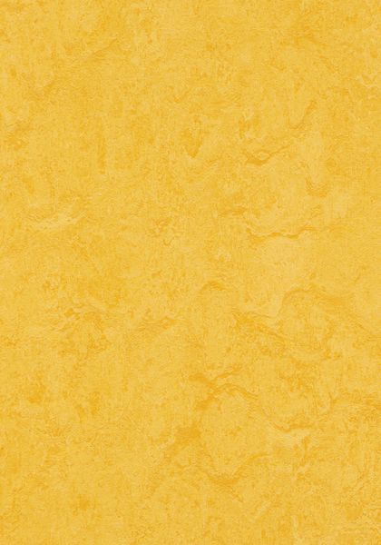 lemon.jpeg