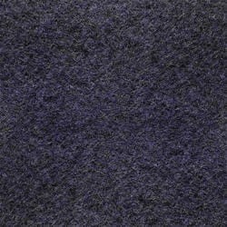 concord_blue_1704.jpg